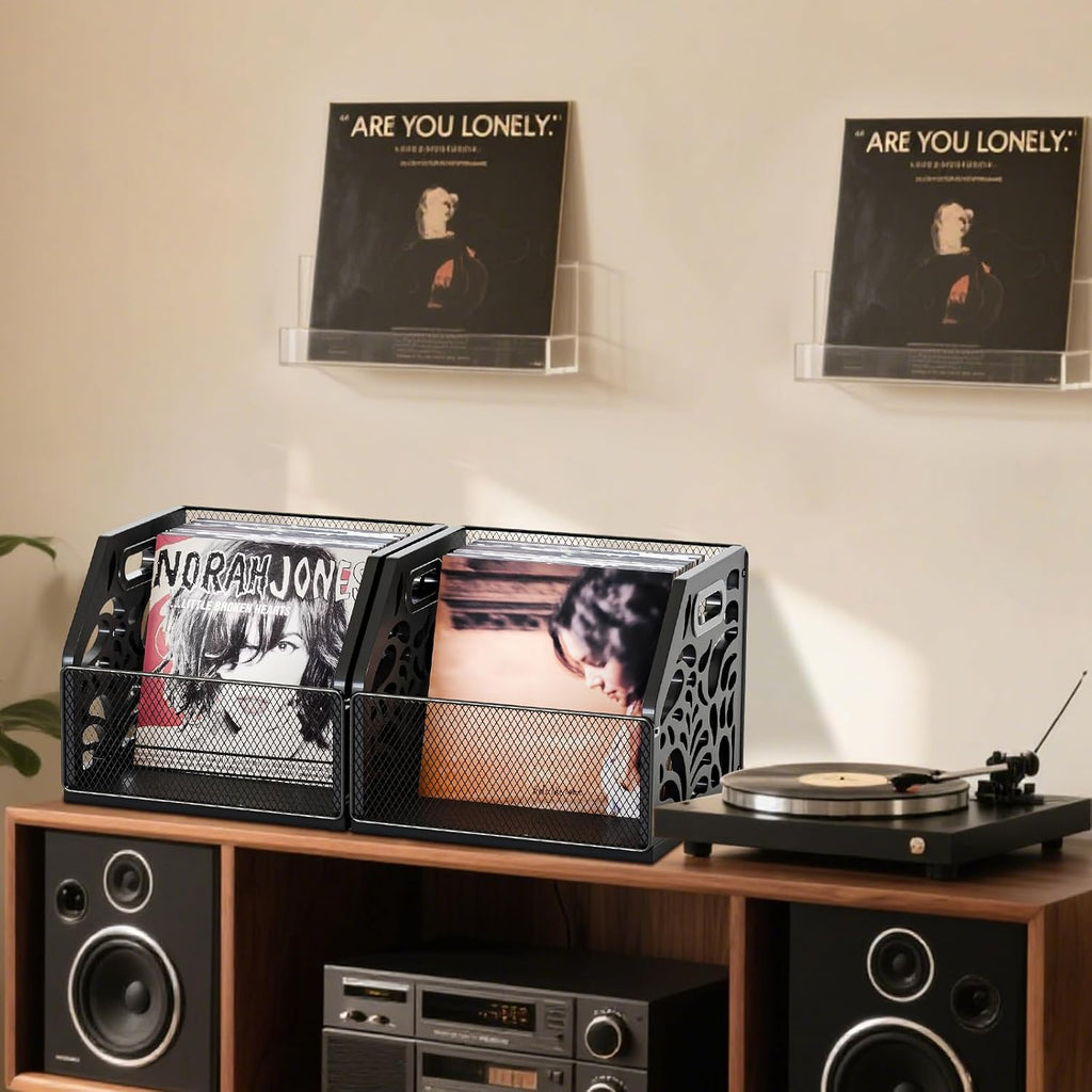 Vinyl Record Holder, Sturdy Wooden Album Storage for Vinyl Records