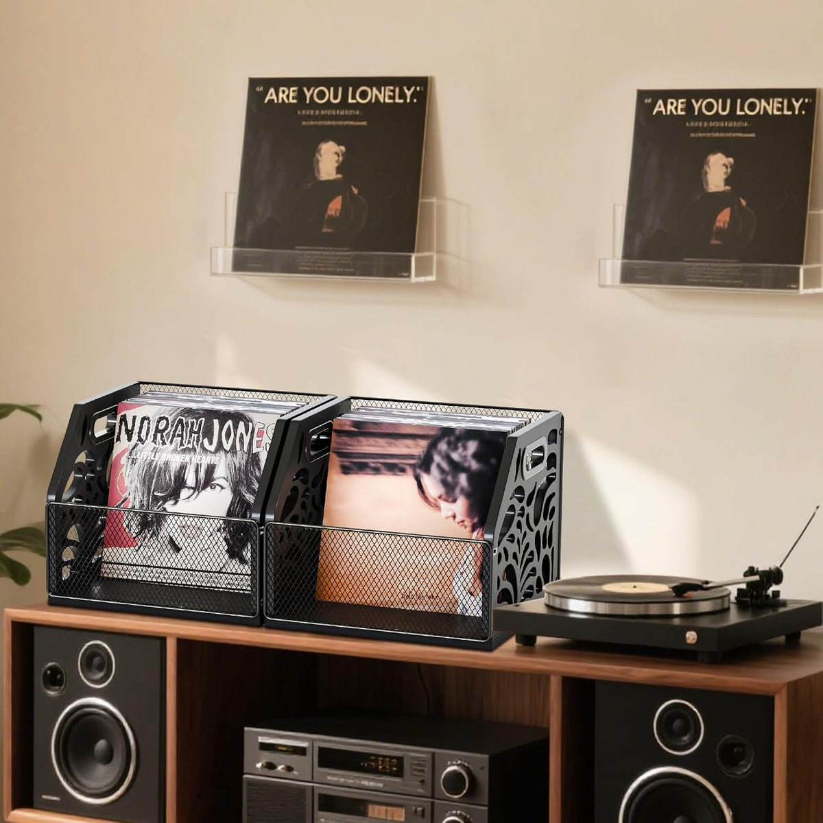 Vinyl Record Holder, Sturdy Wooden Album Storage for Vinyl Records